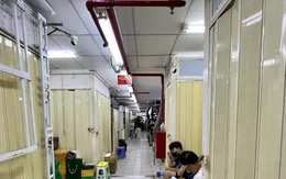 Vòi bạch tuộc vẫn luồn lách