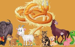 3 con giáp gặp khó khăn trong mùa hè năm Ất Tỵ, cuối năm vươn lên mạnh mẽ, tiền bạc đủ đầy, viên mãn 3 con giáp gặp khó khăn trong mùa hè năm Ất Tỵ, cuối năm vươn lên mạnh mẽ, tiền bạc đủ đầy, viên mãn
