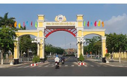 Bí thư huyện lên tiếng về thông tin "nợ tiền cây kiểng, bị chủ đào mang về"