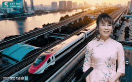 Trước khi tỷ phú Nguyễn Thị Phương Thảo gửi đề xuất tới TP.HCM, Hòa Phát, Vingroup đã làm điều tương tự