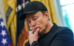 Từ người hùng thành kẻ ngáng đường: Elon Musk đang tự  tay đẩy Tesla xuống vực thẳm