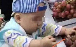 Đưa cháu trai đi siêu thị, cậu bé làm nát cả rổ nho, phản ứng của người ông khiến nhân viên tức đến phát khóc Đưa cháu trai đi siêu thị, cậu bé làm nát cả rổ nho, phản ứng của người ông khiến nhân viên tức đến phát khóc