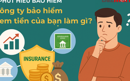 1 phút hiểu bảo hiểm: Công ty bảo hiểm đem tiền của bạn đi đâu?