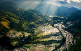 Sense Vietnam by Lexus - đánh thức link 789bet sự sống