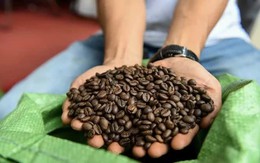 Nửa năm, xuất khẩu nông sản vượt 33 tỷ USD