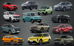 13 ô tô mới lần đầu ra mắt Việt Nam nửa đầu 2025: Giá từ 285 triệu đến 8,68 tỷ, tất cả đều chung 1 điểm
