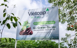 Vietcap trao tặng 6.000 cây tại rừng phòng hộ dầu tiếng