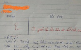 Học tiếng Việt cả đời có khi bạn cũng không biết: Từ nào có đến 12 chữ "T"?