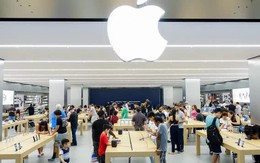 Apple ồ ạt tuyển dụng tại Việt Nam: Hút người từ Nam ra Bắc, trải rộng tới 62 đầu việc