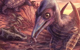 Mỹ tuyên bố khai quật được "nữ thần bình minh cánh tro"