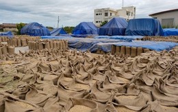 Vượt Thái Lan, Việt Nam sẽ có mặt hàng xuất khẩu top 2 thế giới, chinh phục hơn 150 quốc gia