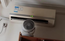 Bật điều hòa mùa hè, hãy đặt “2 thứ” này trong phòng vừa dễ chịu, tiết kiệm tiền điện vừa tránh bệnh tật