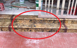 Xây thềm nhà để 1 hoặc 2 bậc có được không: Câu trả lời của chuyên gia gây bất ngờ