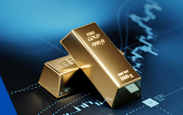 Các ngân hàng trung ương mua ròng 20 tấn vàng trong tháng 5/2025