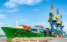 Quỹ Leadvisors rời ghế cổ đông lớn tại Xếp dỡ Hải An