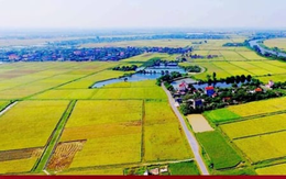 Chuyển đất nông nghiệp sang đất ở: Hoảng hốt tiền sử dụng đất cao đột biến