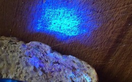 Bác sĩ vạch trần 8 "ổ vi khuẩn" gây bệnh ngay trong nhà, khuyên mọi người tiễn chúng đi ngay!