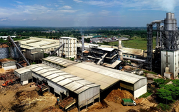 Lỗi đánh máy, một công ty gỗ đặt mục tiêu doanh thu cả triệu tỷ đồng, gấp 5 lần Hòa Phát, 3 lần Vingroup