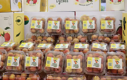 Vụ vải thiều Lục Ngạn 2025 bội thu