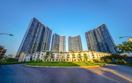 Phiên livestream đặt giá NobleGo tối 8/7: Khách sở hữu căn hộ cao cấp Sunshine City rẻ hơn 2 tỷ đồng