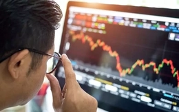 'Đón sóng' nâng hạng, vốn ngoại giải ngân nghìn tỷ khi chứng khoán lập đỉnh