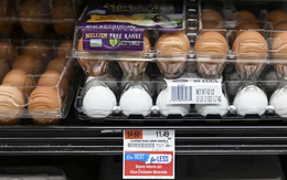 Chính phủ Mỹ kiện bang California về giá trứng tăng