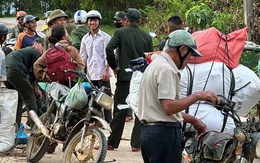 Cả ngàn người ở Đà Nẵng vào rừng nhặt thứ hạt rơi từ trên trời xuống, thu tiền triệu