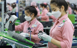 Đại bàng FDI lớn nhất Việt Nam: Xây 6 nhà máy, tạo 87.000 việc làm, mới đề xuất một việc quan trọng Đại bàng FDI lớn nhất Việt Nam: Xây 6 nhà máy, tạo 87.000 việc làm, mới đề xuất một việc quan trọng