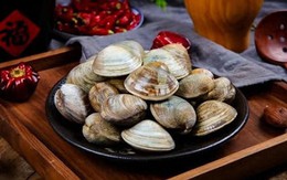 Rửa ngao dùng nước muối hay dầu ăn cũng không sạch, ngư dân chỉ 1 mẹo khiến ngao nhả sạch bùn cát