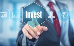 Harvey Law Group – 33 năm giữ vững vị thế giữa những làn sóng thay đổi