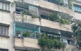 TPHCM yêu cầu xử lý dứt điểm nạn cơi nới, lấn chiếm căn hộ