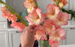 Trong nhà có loài hoa này, gia chủ không lo hết tiền, con cháu khỏe mạnh thông minh