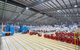 GELEX Electric lãi 1.330 tỷ đồng sau 6 tháng, mảng kinh doanh lõi gấp 2,5 lần cùng kỳ