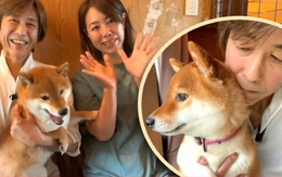 Trả ơn cứu mạng, người đàn ông bán xe Ferrari xây nơi trú ẩn cho chó