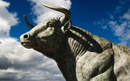 Dự báo VN-Index có thể vượt đỉnh lịch sử, CTCK điểm tên 4 nhóm cổ phiếu kỳ vọng "dẫn sóng"