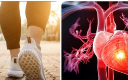 Những kiểu đi bộ giúp cơ tim khoẻ mạnh