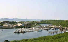 Mỹ: Động đất 7,3 độ, cảnh báo sóng thần ở Alaska Mỹ: Động đất 7,3 độ, cảnh báo sóng thần ở Alaska