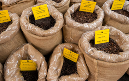 Một cuộc đua gom ‘vàng nâu’ đang diễn ra tại Mỹ: Doanh nghiệp gấp rút nhập khẩu, đối thủ của Việt Nam chứng kiến đơn hàng tăng vọt