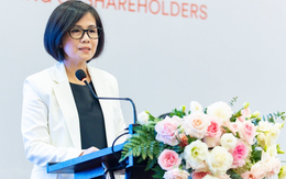 Công ty con của Vingroup bổ nhiệm Tổng giám đốc mới