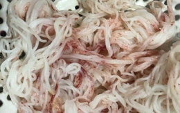 Bún chuyển sang màu đỏ sau vài giờ mua ở chợ Đà Nẵng: Bún chứa nấm men, nấm mốc Bún chuyển sang màu đỏ sau vài giờ mua ở chợ Đà Nẵng: Bún chứa nấm men, nấm mốc