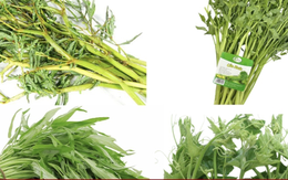 Chuyên gia chỉ ra những loại rau dễ nhiễm kim loại nặng