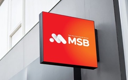 MSB công bố khung tài chính bền vững