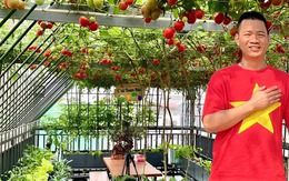 Gửi rau thay lời cảm ơn: Ông bố Hà Nội biến sân thượng thành vườn, tặng nông sản cho người ủng hộ thiện nguyện