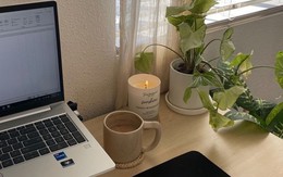 6 loại cây nhỏ xinh nên đặt ở bàn làm việc: Vừa đẹp vừa như “thuốc an thần”, giảm căng thẳng