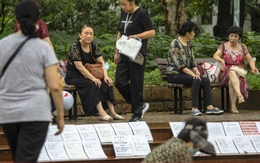 Khi app hẹn hò thành 'chiến trường' của phụ huynh Trung Quốc