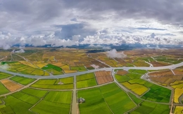 Đề xuất dự án điện gió gần 320 triệu USD ở vùng đầm phá Quảng Trị