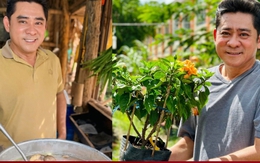 Cuộc sống 'bỏ phố về quê' của tài tử nổi tiếng Huỳnh Anh Tuấn