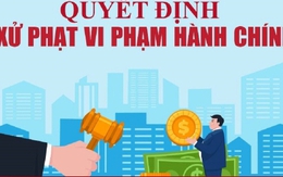 Vi phạm liên quan đất đai, môi trường, 2 công ty ở Lào Cai bị phạt hơn 700 triệu