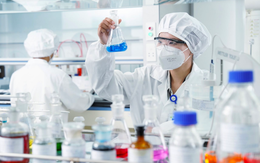 Vừa được Tập đoàn Trung Quốc đánh tiếng mua lại, DN dược hàng đầu Việt Nam trị giá gần 9.000 tỷ báo lãi quý 2 tăng trưởng 37%