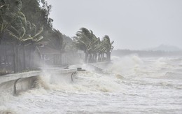 Bão WIPHA đã vào biển Đông, chính thức trở thành cơn bão số 3, "có bóng dáng của siêu bão Yagi"